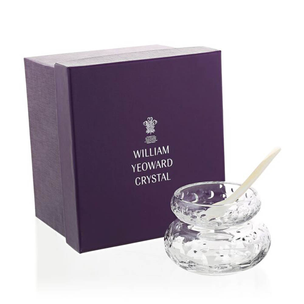 Caprice Caviar Server For 2 With Spoon by William Yeoward Additional Image - 2