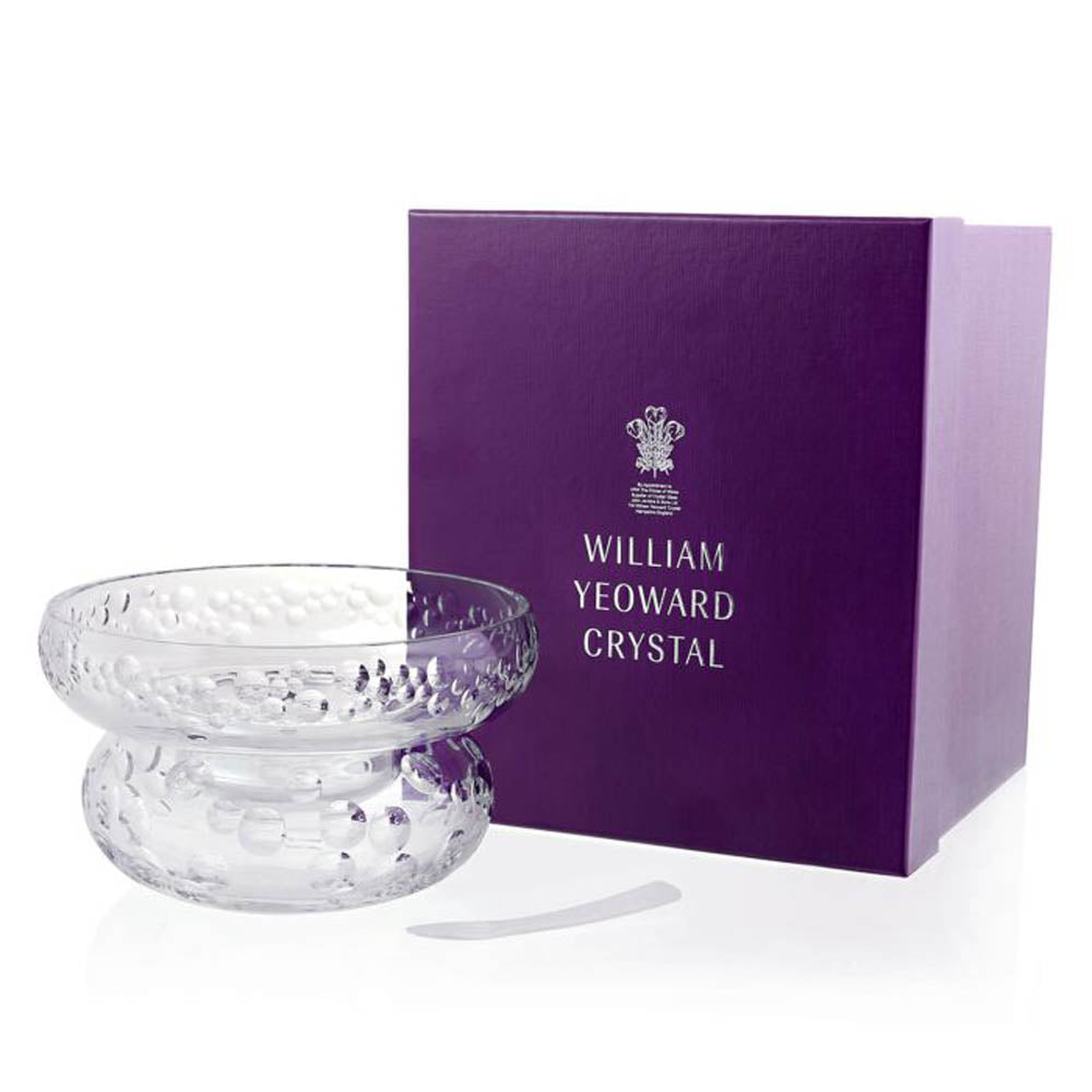 Caprice Caviar Server & Spoon by William Yeoward Additional Image - 2