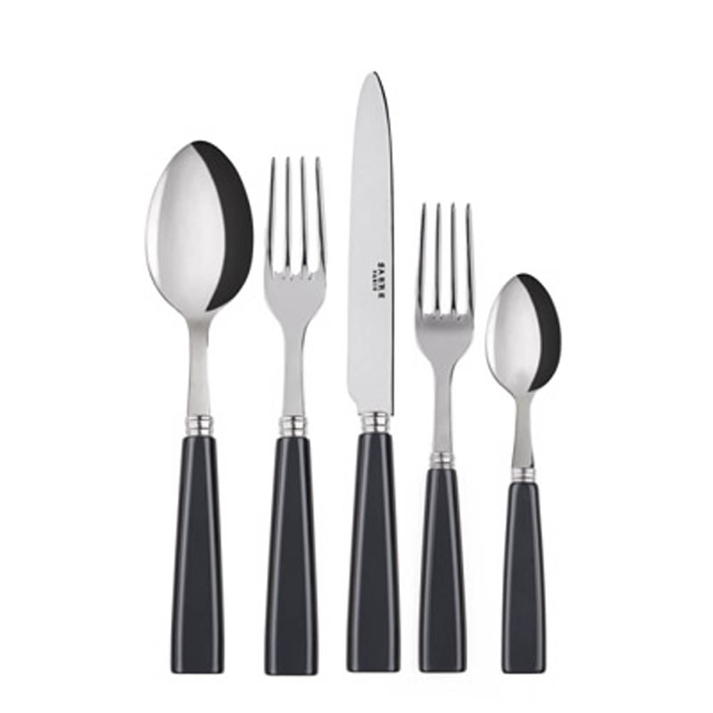 Icone (a.k.a. Natura) 5-piece Place Setting by Sabre Paris