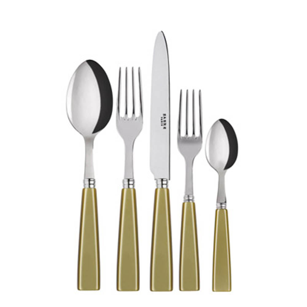 Icone (a.k.a. Natura) 5-piece Place Setting by Sabre Paris