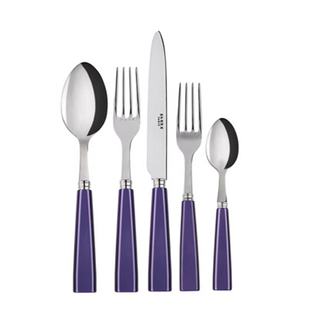 Icone (a.k.a. Natura) 5-piece Place Setting by Sabre Paris