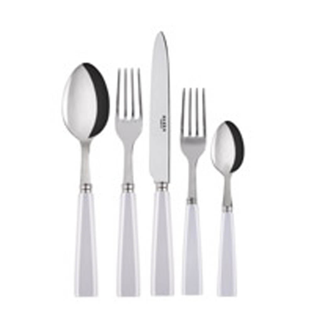 Icone (a.k.a. Natura) 5-piece Place Setting by Sabre Paris