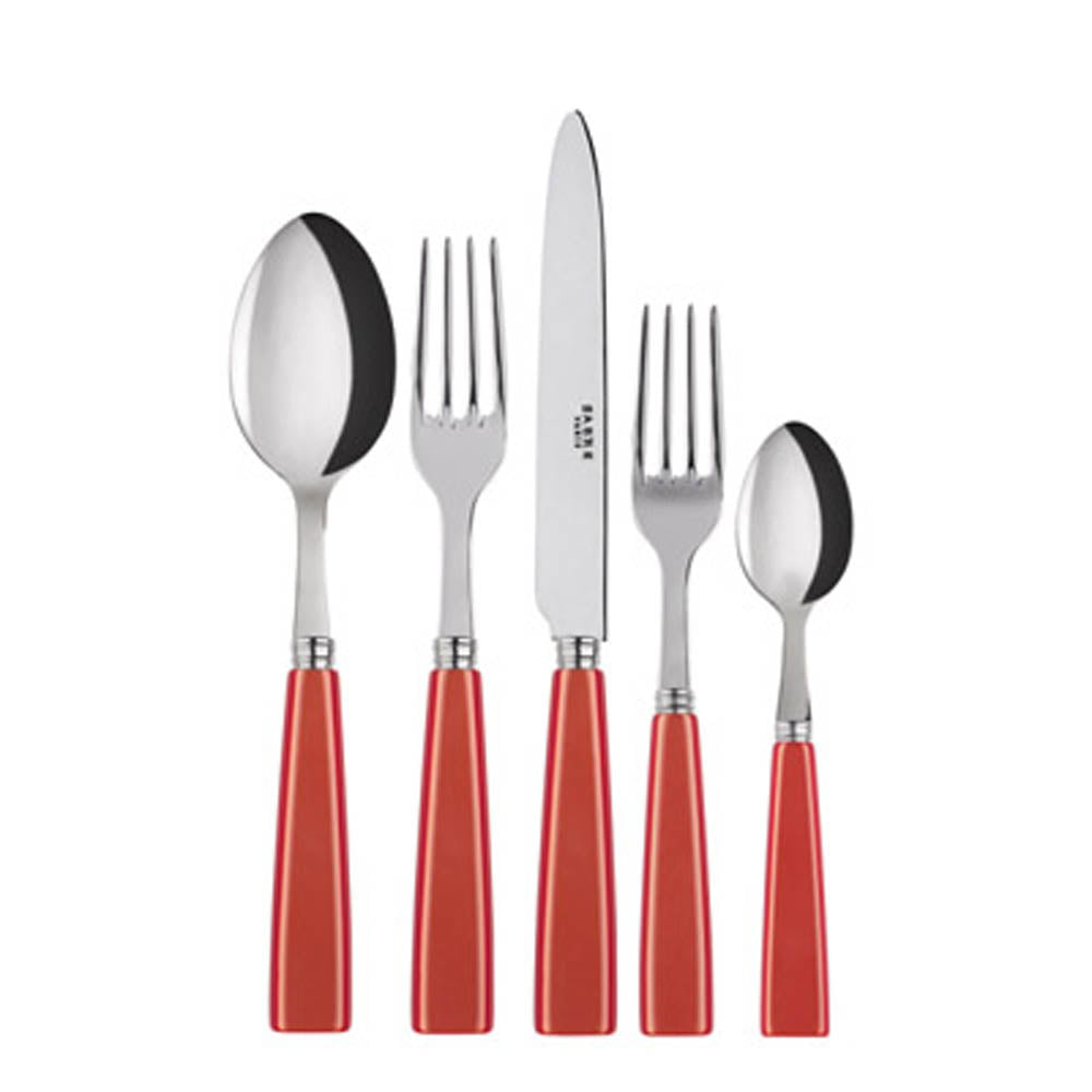 Icone (a.k.a. Natura) 5-piece Place Setting by Sabre Paris