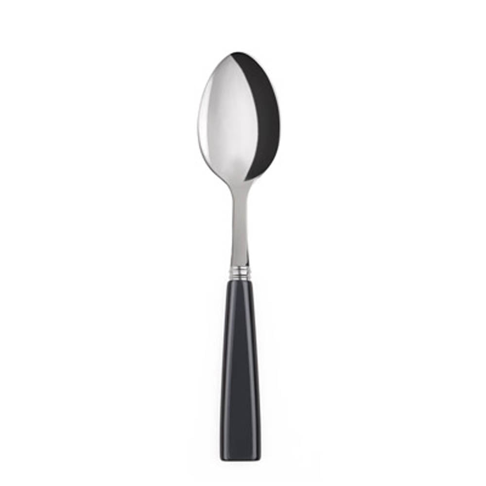 Icone (a.k.a. Natura) Dessert Spoon by Sabre Paris