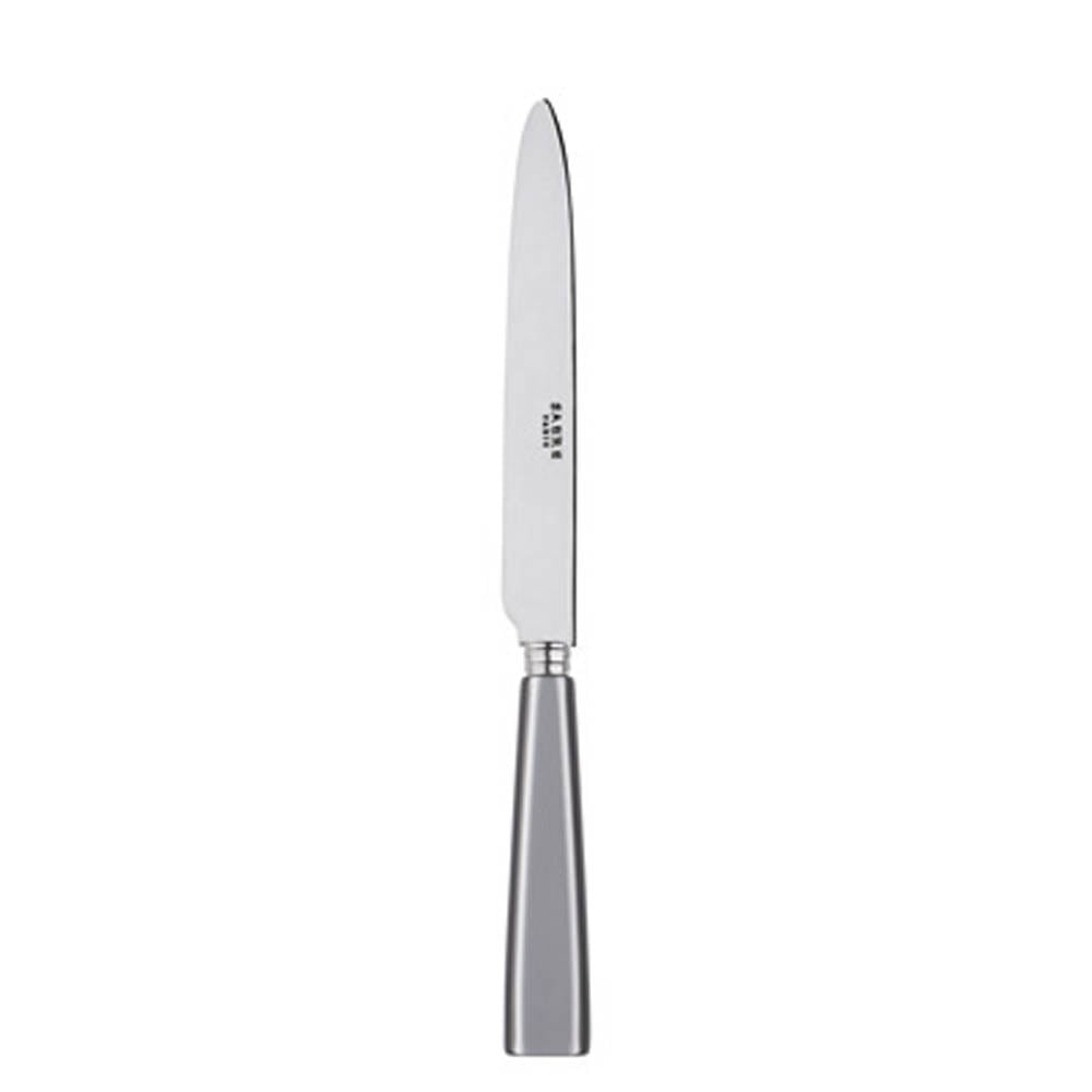Icone (a.k.a. Natura) Dinner Knife by Sabre Paris