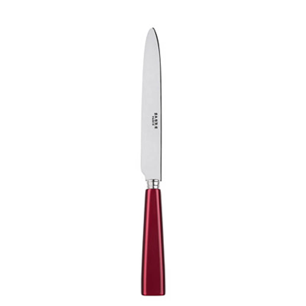 Icone (a.k.a. Natura) Dinner Knife by Sabre Paris