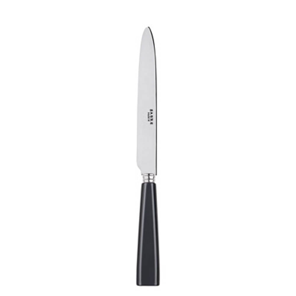 Icone (a.k.a. Natura) Dinner Knife by Sabre Paris