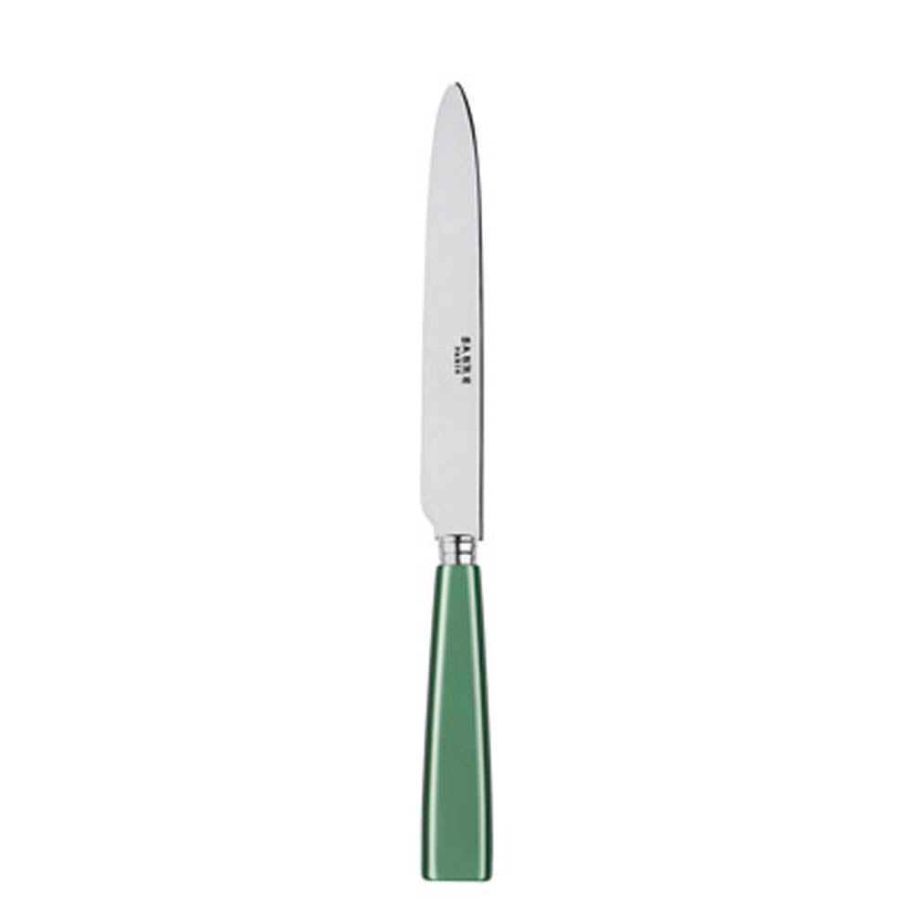 Icone (a.k.a. Natura) Dinner Knife by Sabre Paris