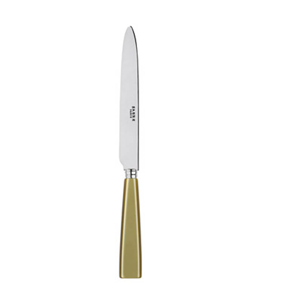 Icone (a.k.a. Natura) Dinner Knife by Sabre Paris