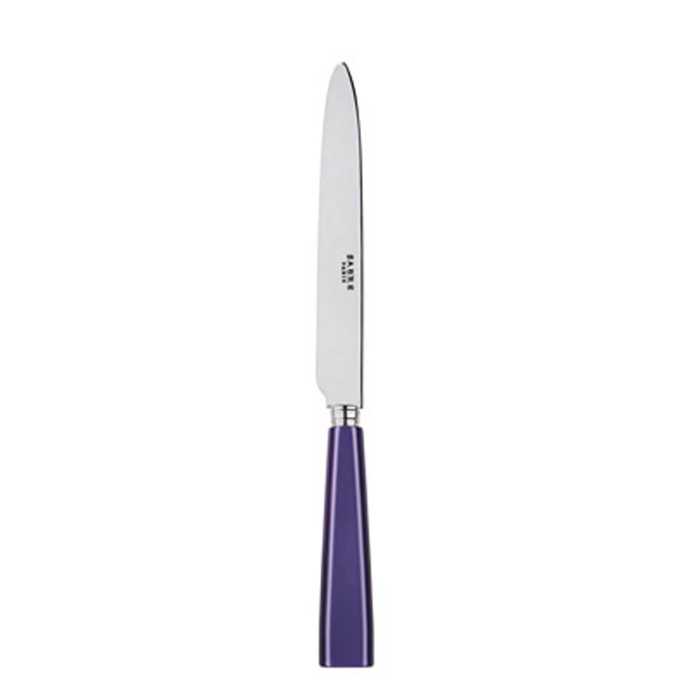 Icone (a.k.a. Natura) Dinner Knife by Sabre Paris