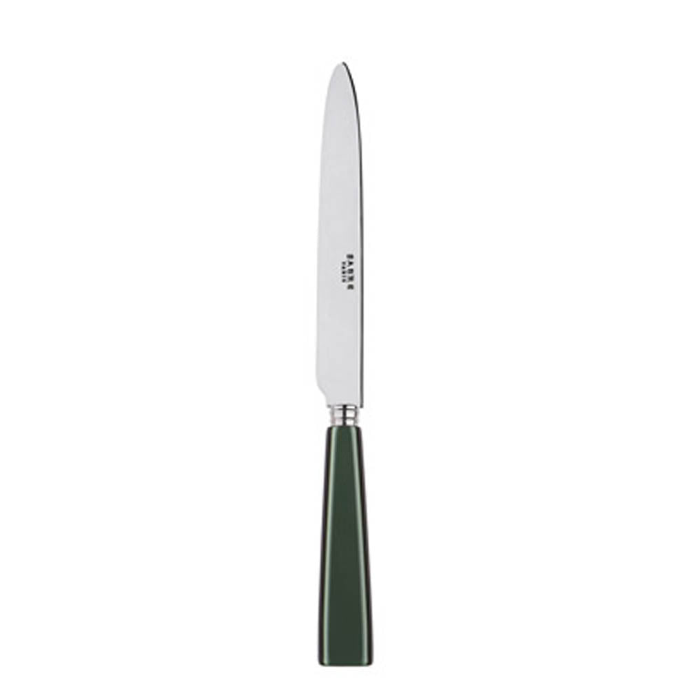 Icone (a.k.a. Natura) Dinner Knife by Sabre Paris