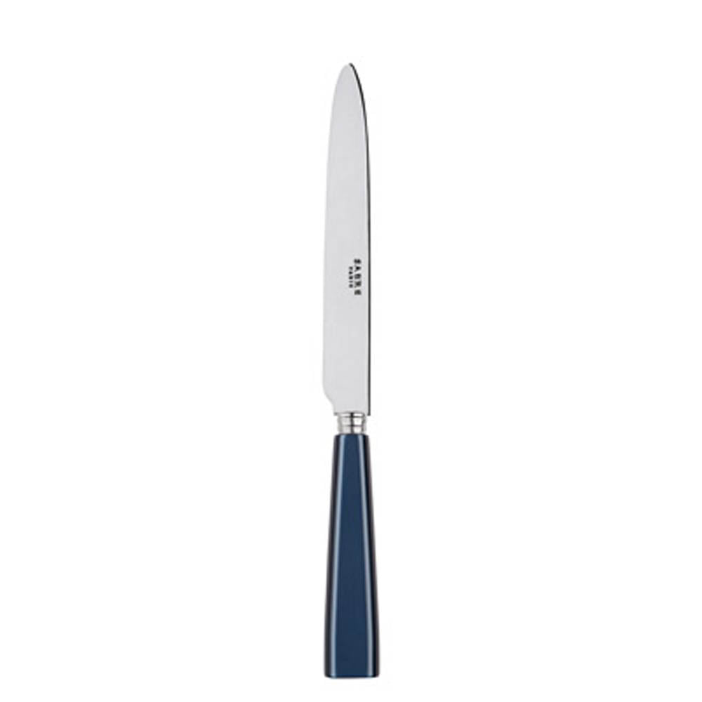 Icone (a.k.a. Natura) Dinner Knife by Sabre Paris