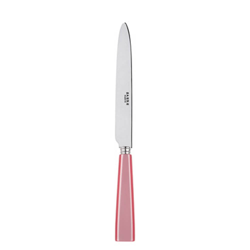 Icone (a.k.a. Natura) Dinner Knife by Sabre Paris