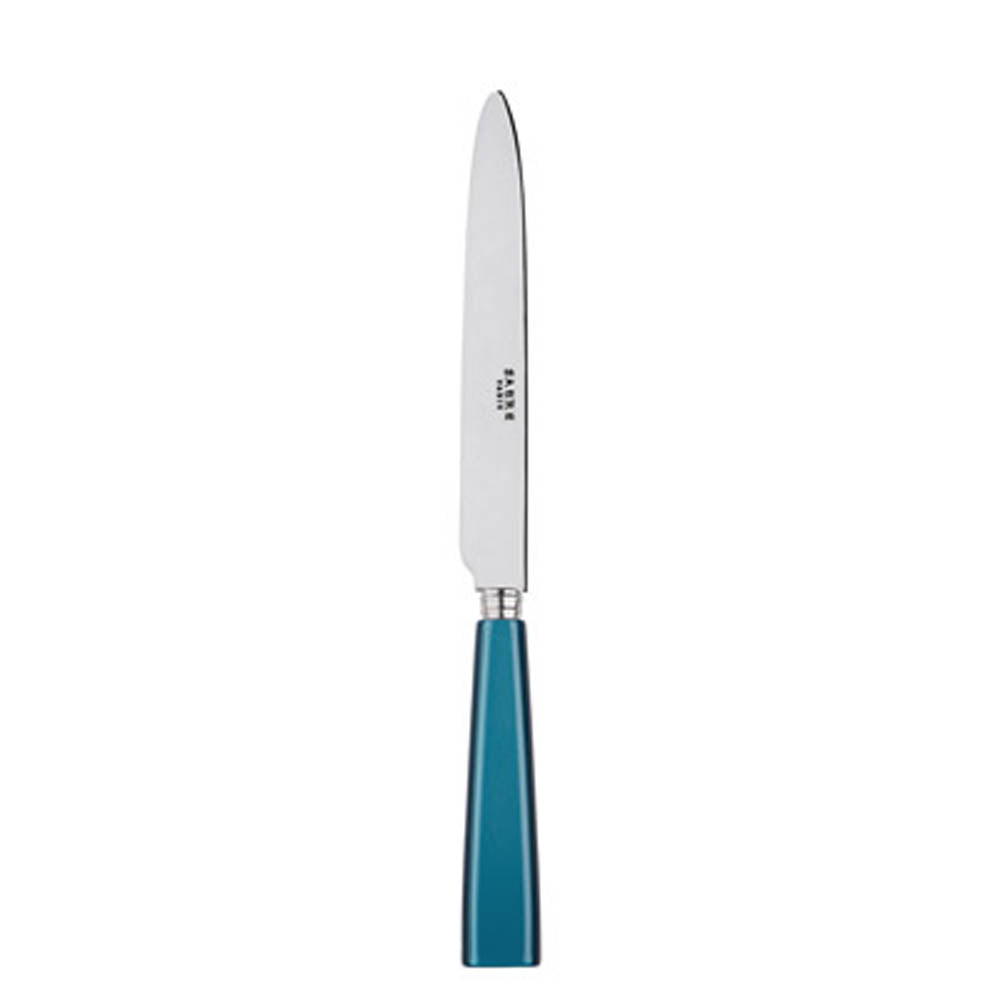 Icone (a.k.a. Natura) Dinner Knife by Sabre Paris