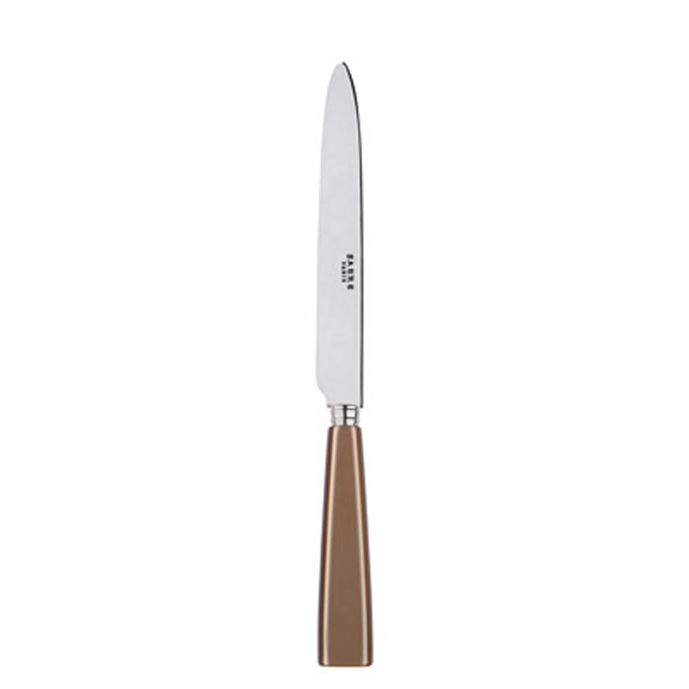 Icone (a.k.a. Natura) Dinner Knife by Sabre Paris