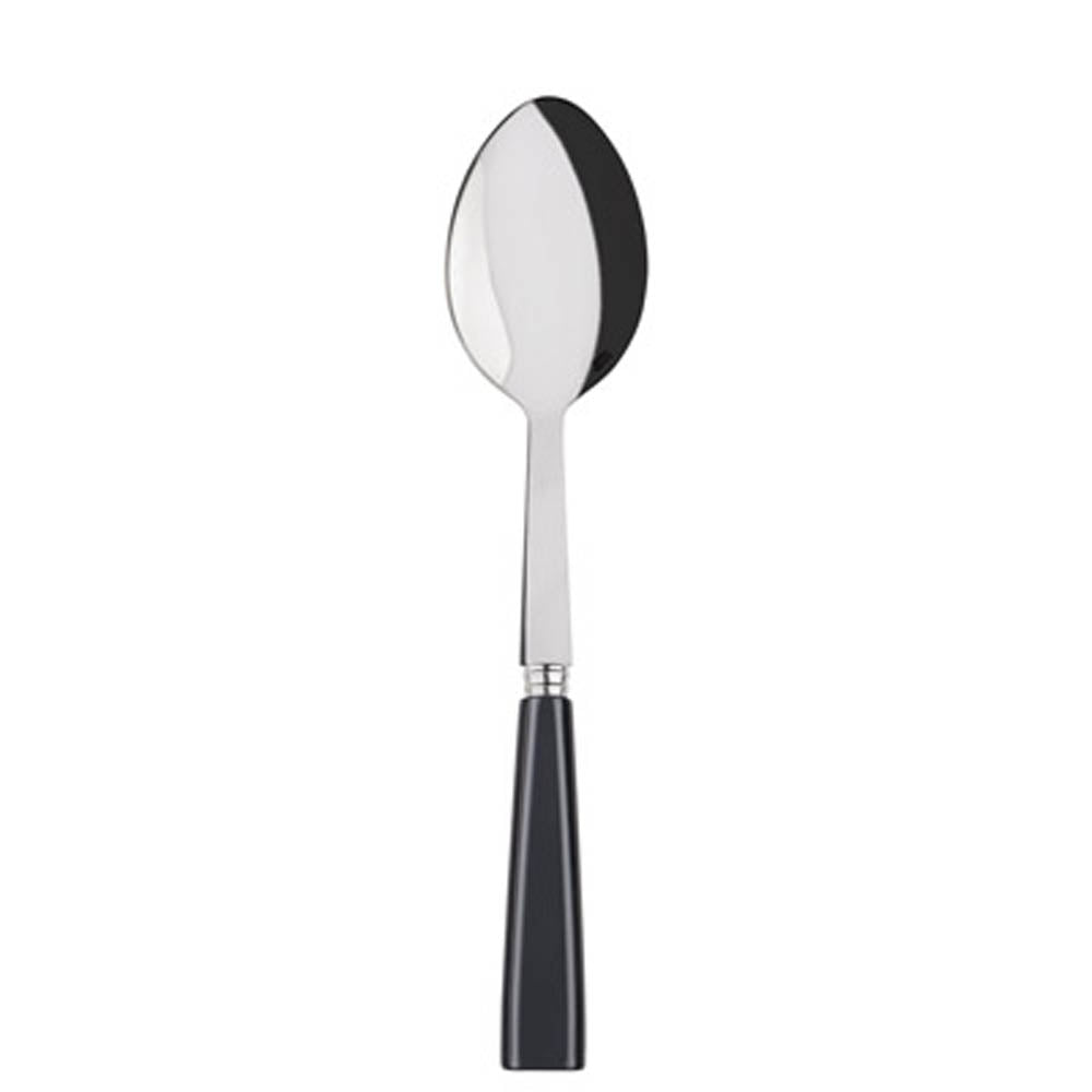 Icone (a.k.a. Natura) Serving Spoon by Sabre Paris