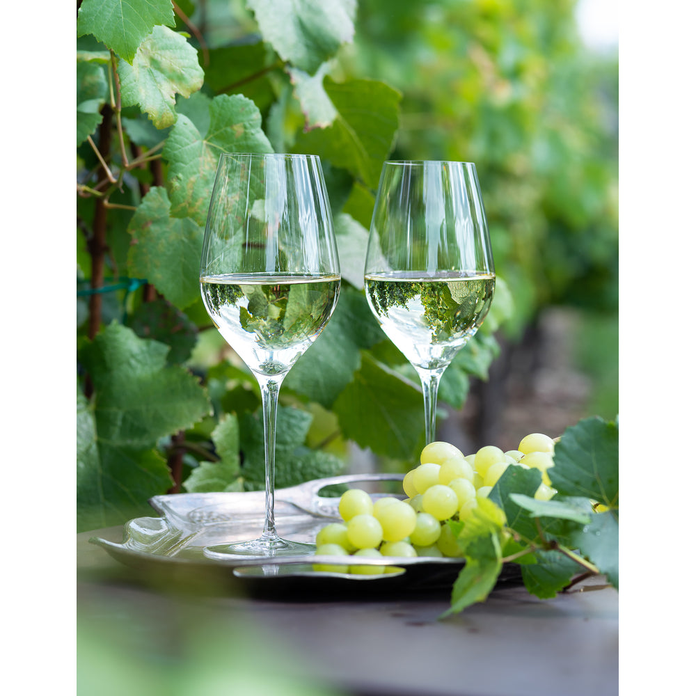 Oeno Wine Glass, 500 ml by Moser Additional image - 1